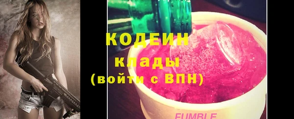 хмурый Касимов