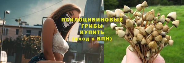 хмурый Касимов