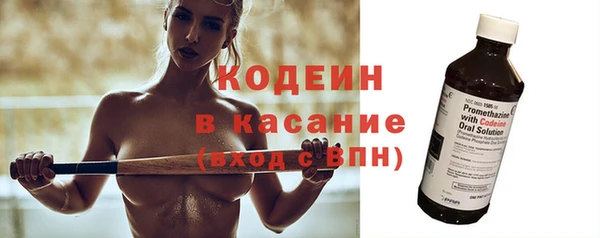 хмурый Касимов