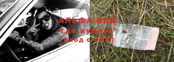 хмурый Касимов