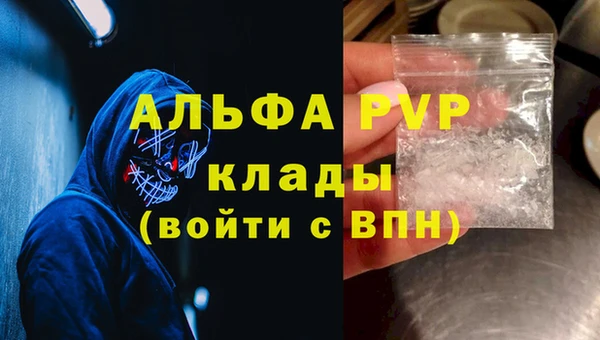 хмурый Касимов