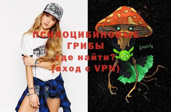 крисы Карпинск