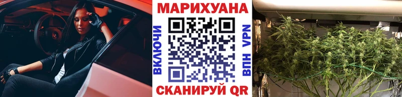 Каннабис сатива Купить закладки Ливны
